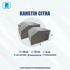 Kantsin Citra