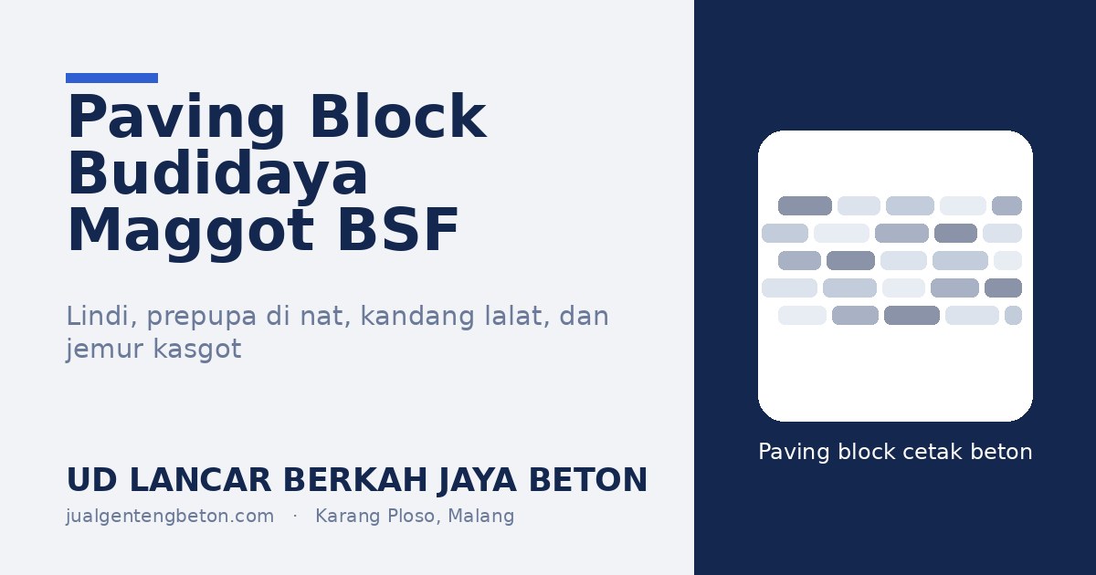 Paving Block untuk Budidaya Maggot BSF: Lindi, Prepupa di Nat, dan Area Jemur Kasgot